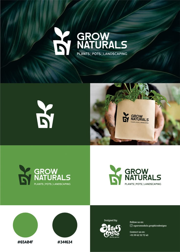 Logo Design Logo Design design view 4